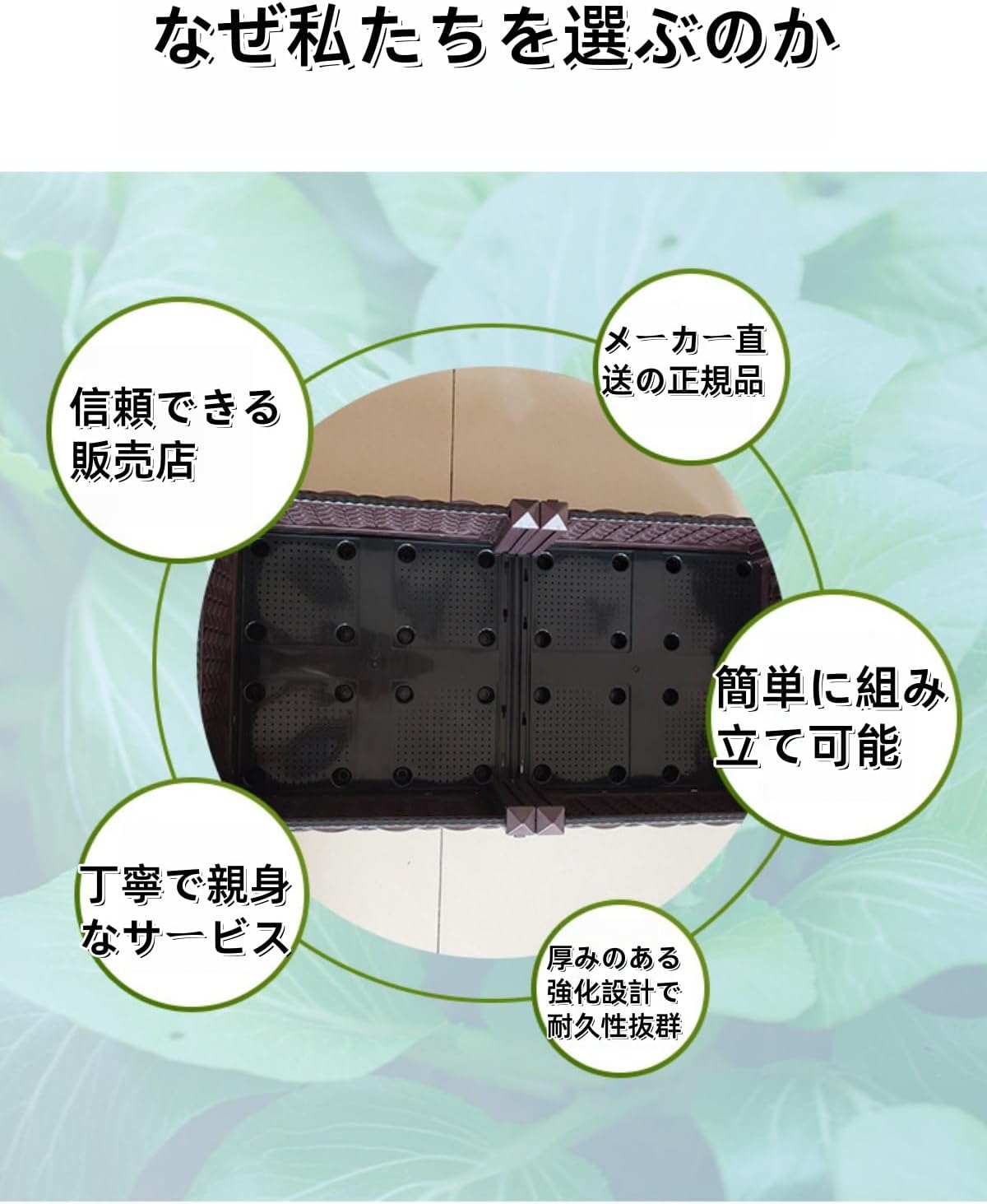 確認ページ2 ライブディオZXとは？ニセモノに注意！